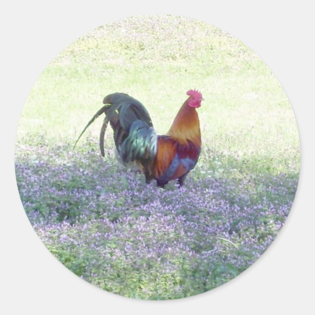 Sticker Fierté en plumes (Devant)