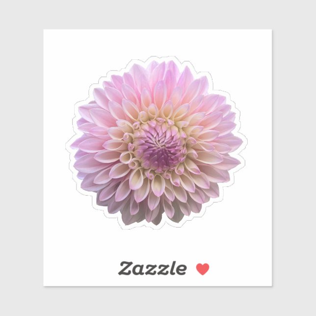 Sticker Fleur Coralie Dahlia (Feuille)
