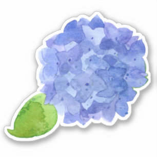 Sticker Fleur d'aquarelle bleu Hydrangea