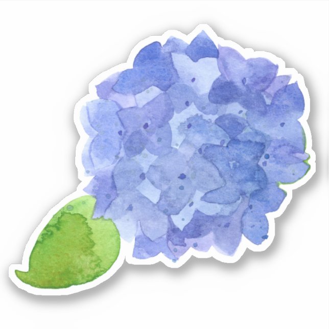 Sticker Fleur d'aquarelle bleu Hydrangea (Devant)
