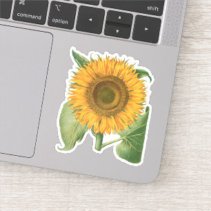 Sticker Fleur de tournesol vintage par Basilius Besler