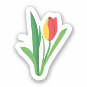 Sticker Fleur de Tulipe   Floral Mignon