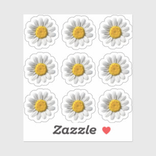 Sticker Fleur florale de fleur blanche de marguerite