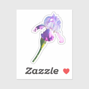 Sticker Fleur Iris Violet Fleur de naissance de février