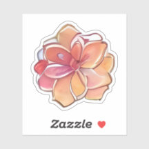 Fleur rose et crème