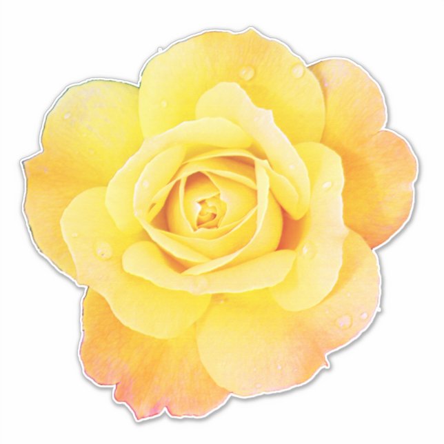 Sticker Fleur rose Floral Orange Jaune Printemps de Pâques (Devant)