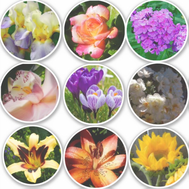 Sticker Fleurs (Devant)