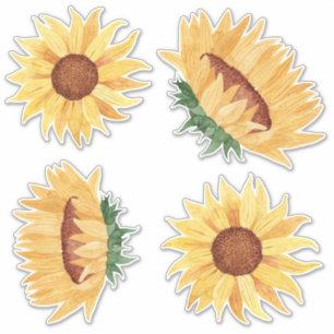 Sticker Fleurs de couleur aquarelle