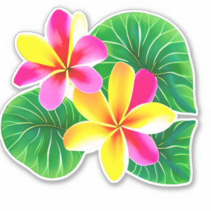 Sticker Fleurs de la Plumeria tropicale