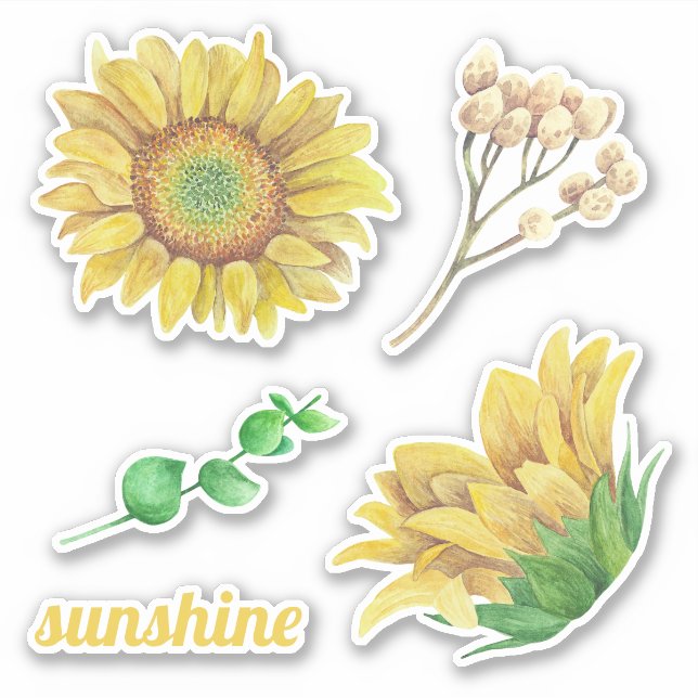Sticker Fleurs de soleil aquarelle. Floral rustique (Devant)