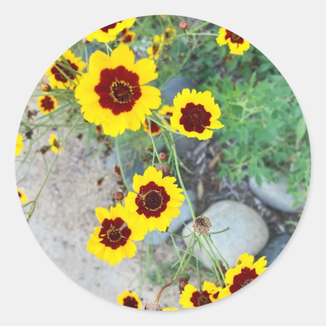 Sticker Fleurs Jaunes (Devant)