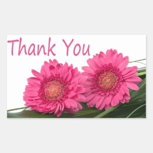 Sticker floral Merci rose Gerbera Fleur marguerite