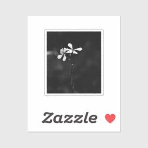 Sticker floral noir et blanc minimal