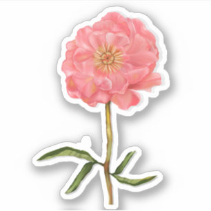 Sticker Floral Pretty Rose Peony Art