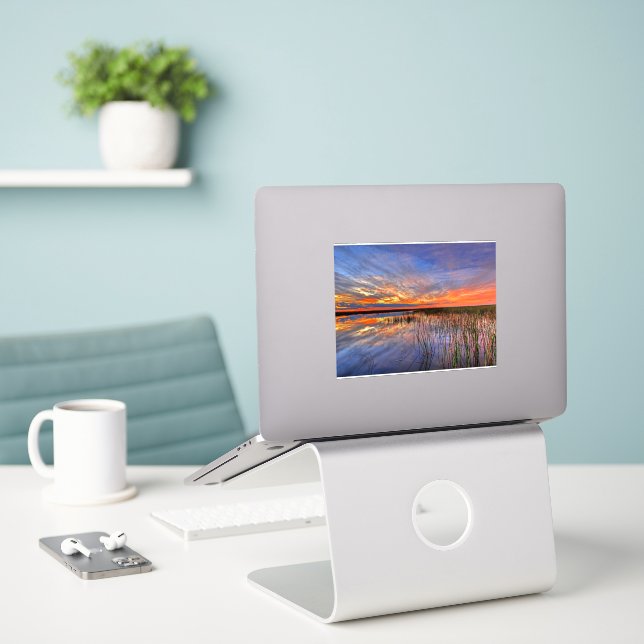 Sticker Floride Everglades (Ordinateur portable sur le bureau)