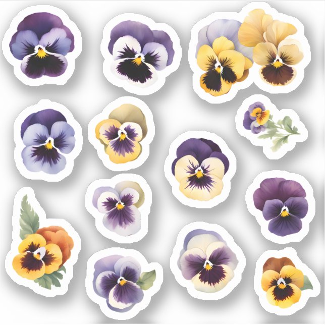 Sticker Flower Pansies en floraison (Devant)