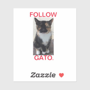 Sticker FOLLOW GATO2, All Caps