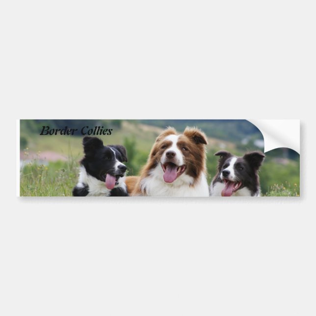 Sticker for car (Front)