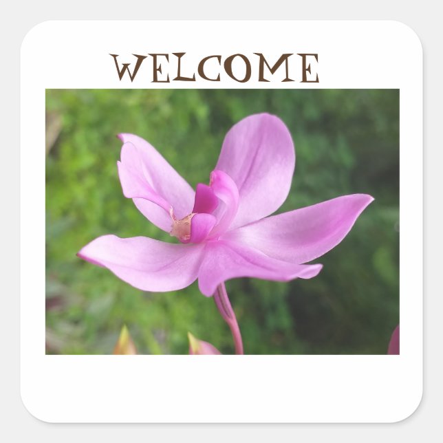 Sticker FOR WELCOME (Front)