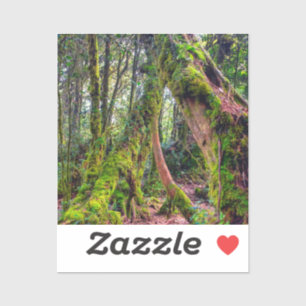 Sticker Forêt moussue