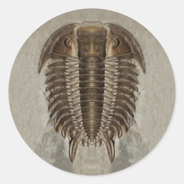 Sticker Fossil Trilobite (Devant)