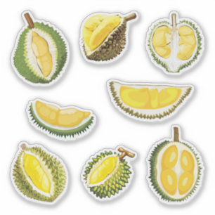 Sticker Fruit durian