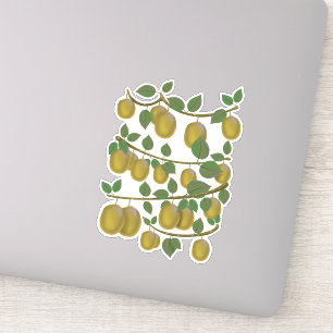 Sticker Fruit Kiwi