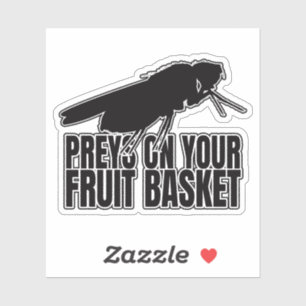 Sticker Fruit mouches Fruit Flûte Drosophila Entomologie G