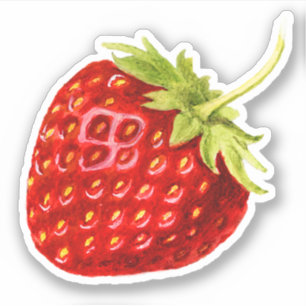 Sticker Fruit vintage de fraise rouge