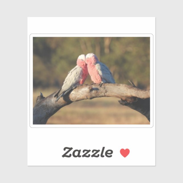 Sticker Galahs roses (Feuille)
