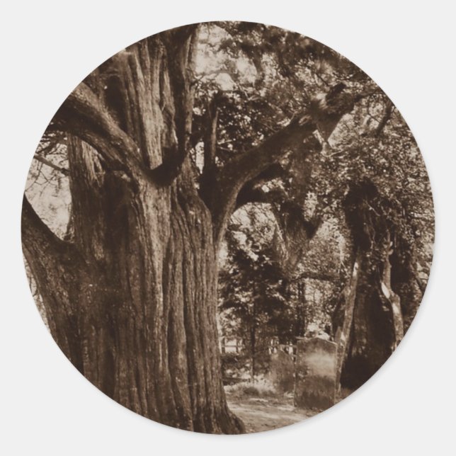 Sticker Genealogy Churchyard Old Yew Tree Stones (Front)