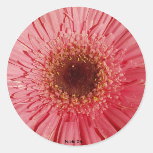 Sticker Gerbera Daisy