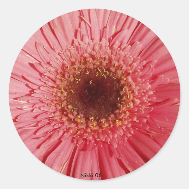 Sticker Gerbera Daisy (Devant)