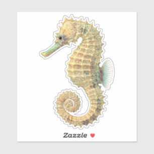 Sticker Gold Turquoise Seahorse