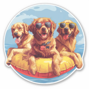 Sticker Golden Retriever Dogs - Flottes de la piscine d'ét