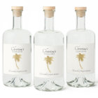 Sticker Goldtone Palm Tree Coquito