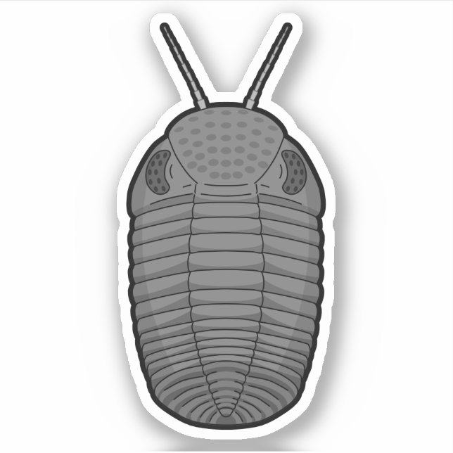 Sticker Gray Phacops Trilobite - Vinyle animal préhistoriq (Devant)