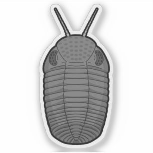 Sticker Gray Phacops Trilobite - Vinyle animal préhistoriq