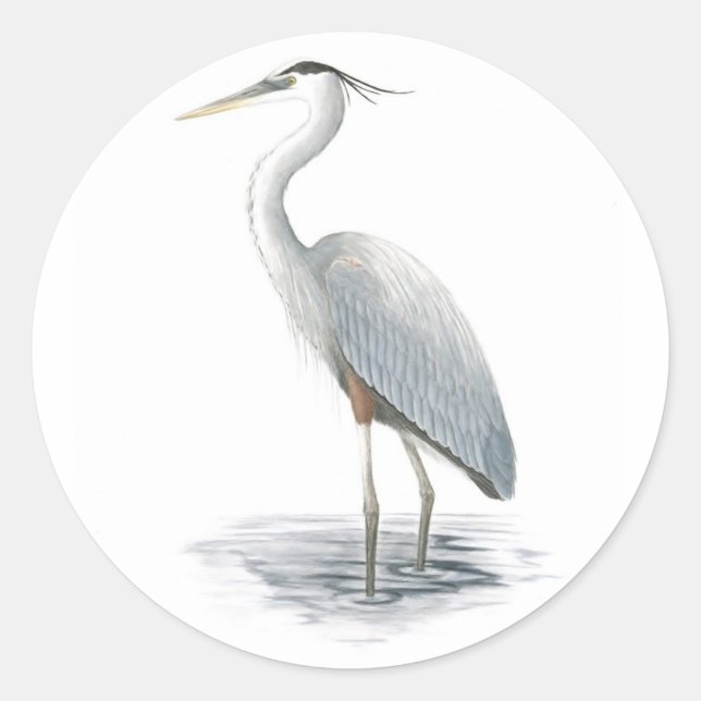 Sticker Great Blue Heron (Devant)