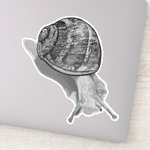 Sticker Gris de l'escargot peint