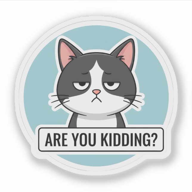 Sticker Grumpy Meme Cat – “Are You Kidding?” Funny Cat (Devant)
