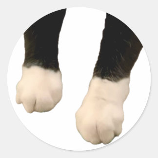 Sticker Henri - Pieds !