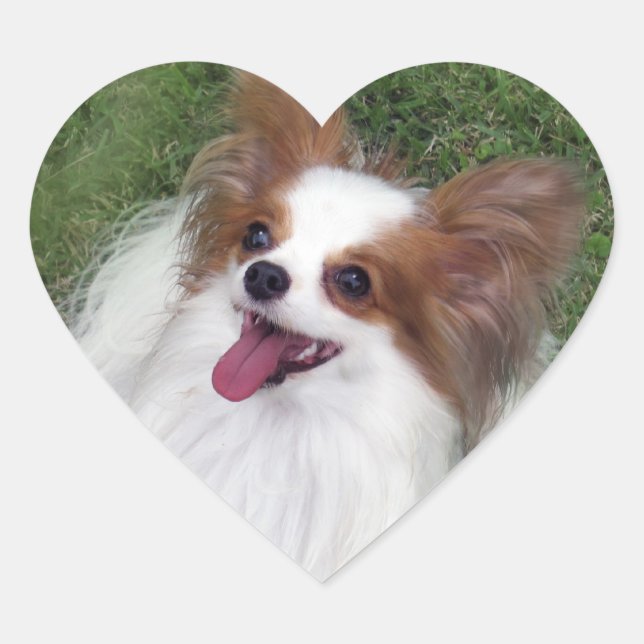 Sticker Hershey Kiss Hero Heart (Devant)