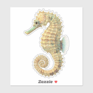 Sticker Hippocampe sarcelle doré