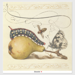 Sticker Hoefnagel Vintage Poire & Insectes 1500 Renaissanc