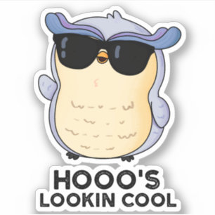 Sticker Hooo's Lookin Cool Funny Owl Pun