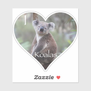 Sticker I Heart Koalas
