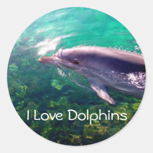 Sticker I Love Dophins