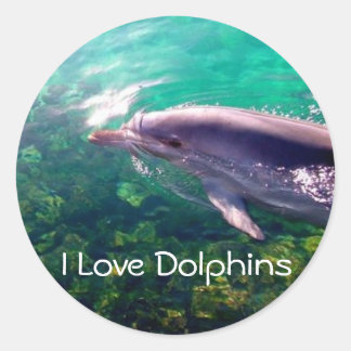 Sticker I Love Dophins