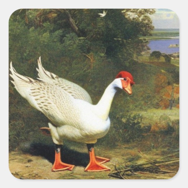 Sticker IGF (Devant)